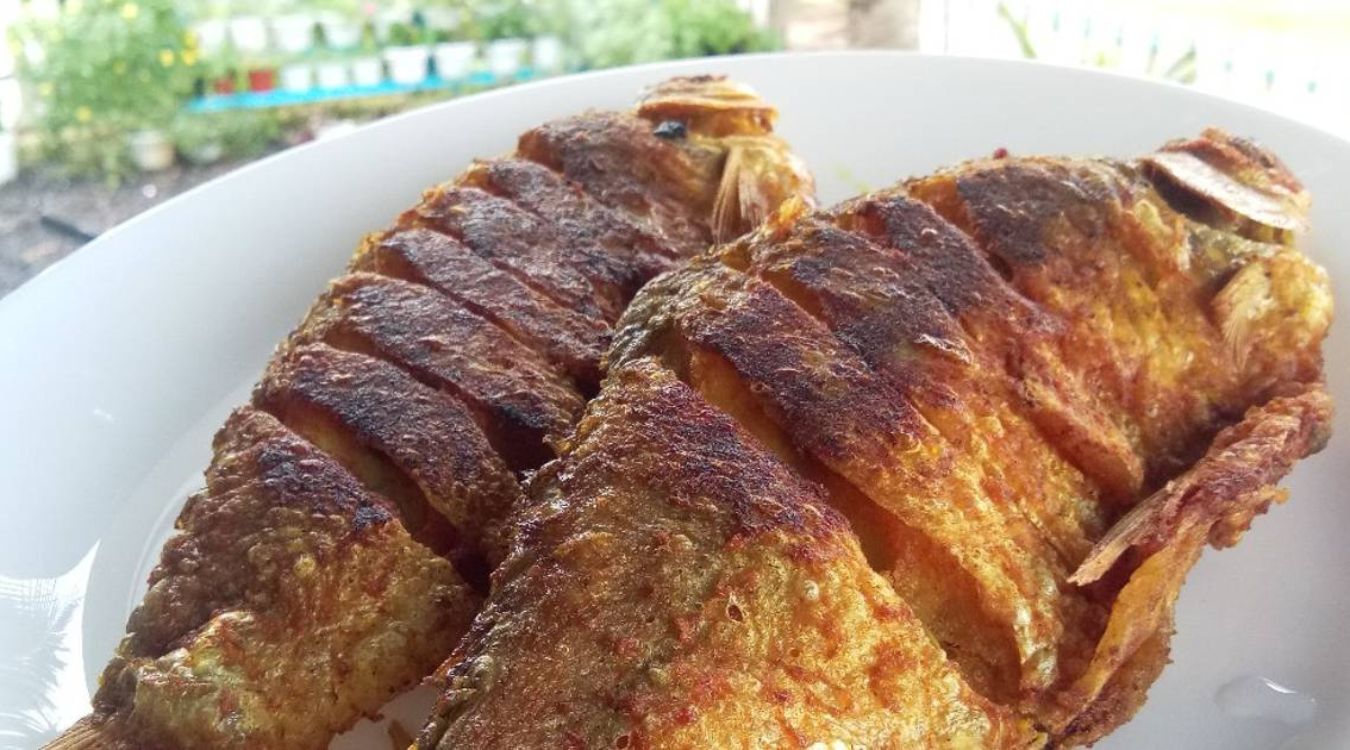ikan-talapia-merah-goreng-recipe-fried-red-tilapia