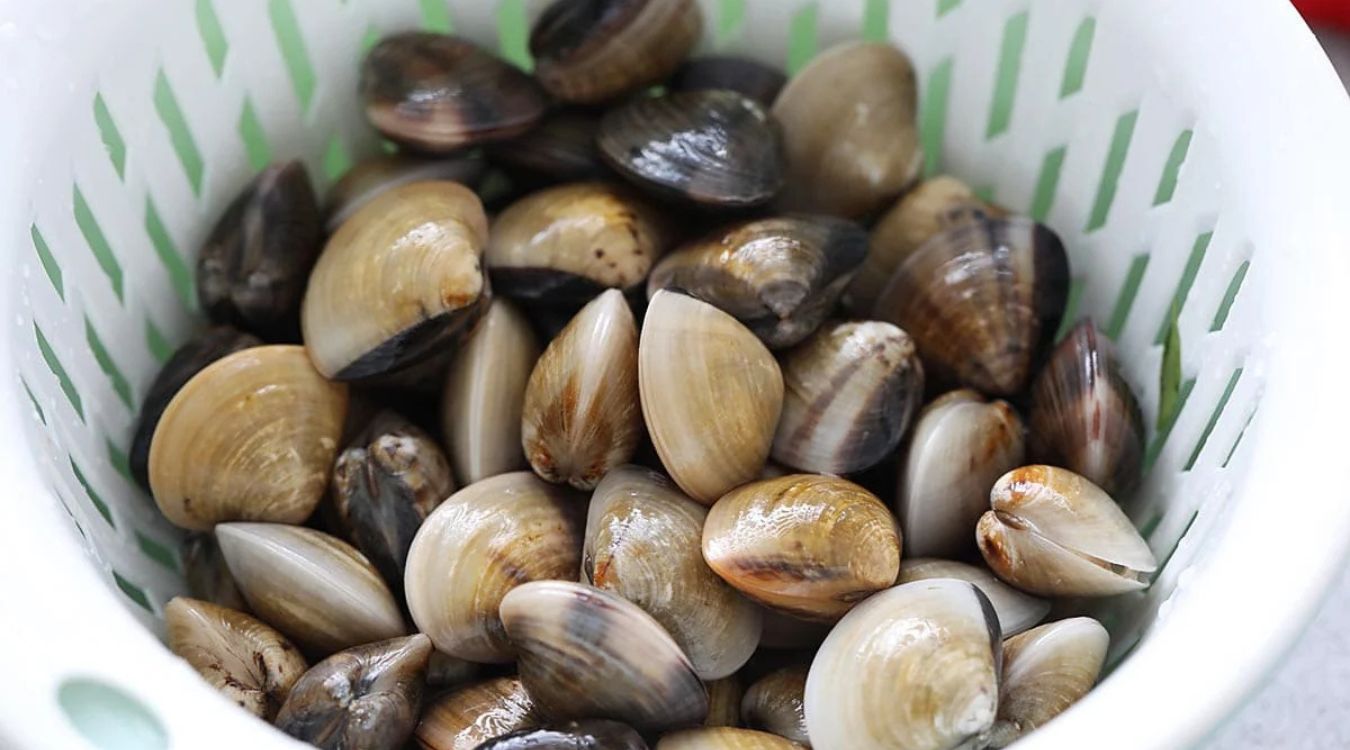 kam-heong-clams-recipe