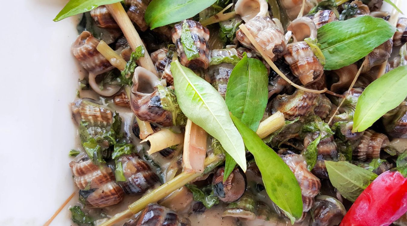 siput-sedut-masak-lemak-recipe-mud-snails-in-coconut-gravy